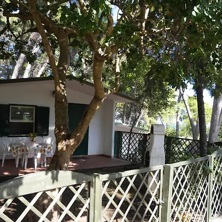Villaggio Internazionale