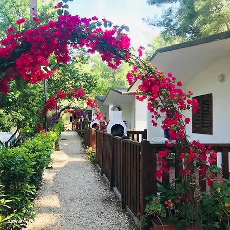 Villaggio Internazionale 4*