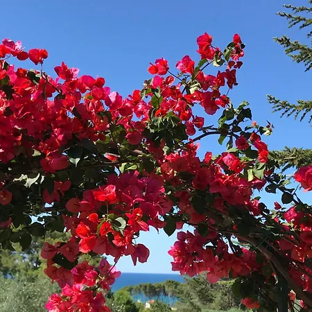 Campsite Villaggio Internazionale