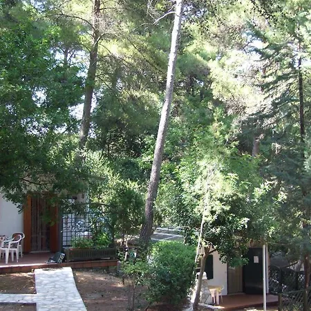 Campsite Villaggio Internazionale San Menaio