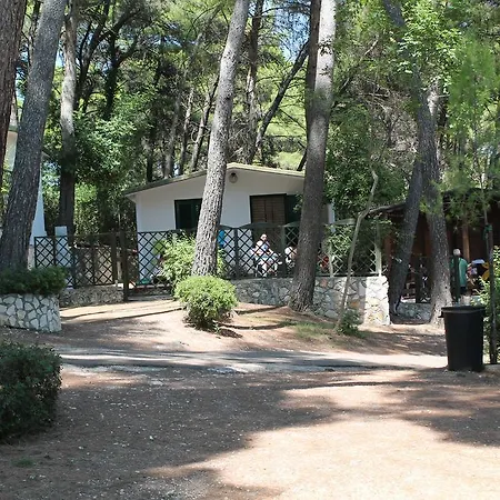 Villaggio Internazionale