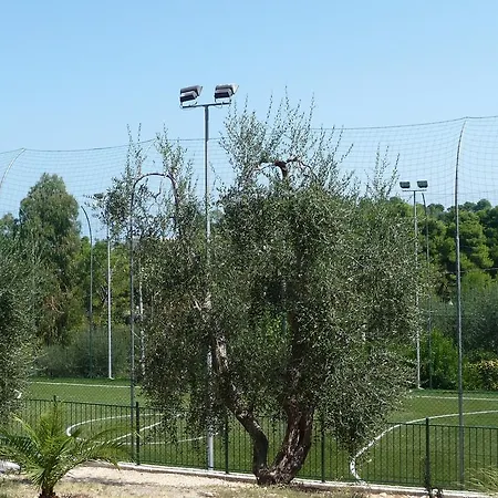 Villaggio Internazionale Campsite San Menaio