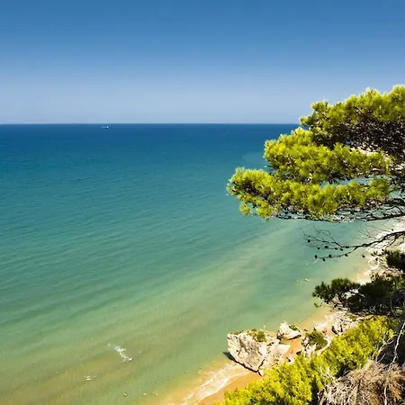 Campeggio Villaggio Internazionale