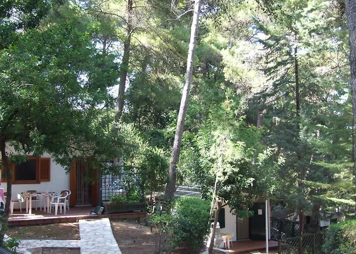Kamp alanı Villaggio Internazionale San Menaio