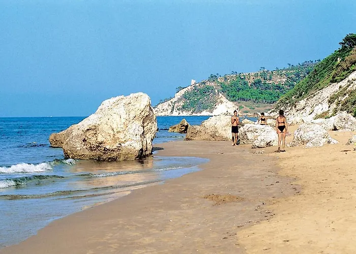 Kamp alanı Villaggio Internazionale 4*
