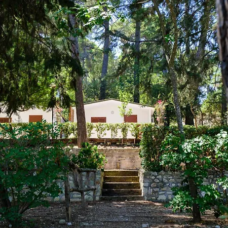 Villaggio Internazionale Parque de Campismo San Menaio