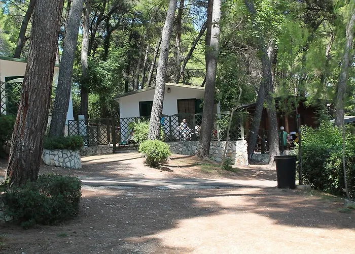 Villaggio Internazionale
